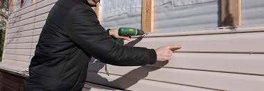 Best Custom Trim and Detailing for Siding  in Meridian Village, CO